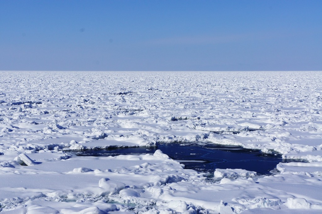 知床の流氷