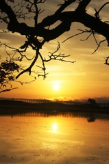 夕陽