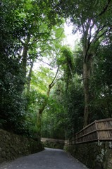 法然院
