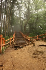 いざない