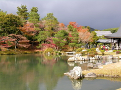 京都の紅葉２