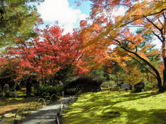 京都の紅葉４