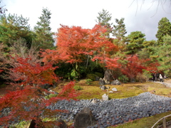 京都の紅葉５