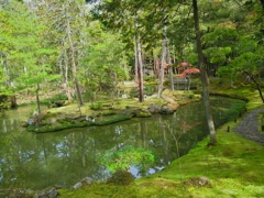 苔庭3