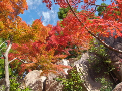 けいはんな公園２