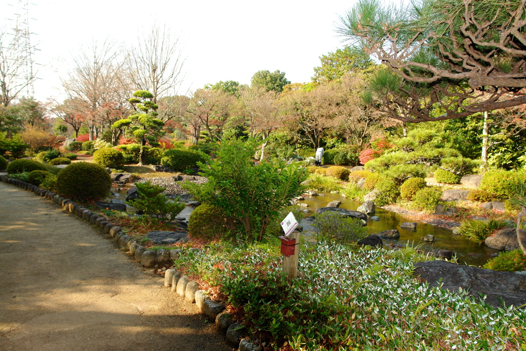 日本庭園_6