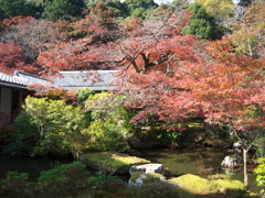 お寺の紅葉１