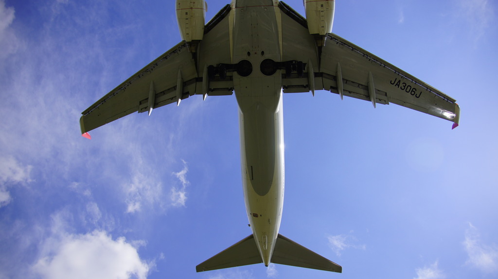 お腹が見えた。