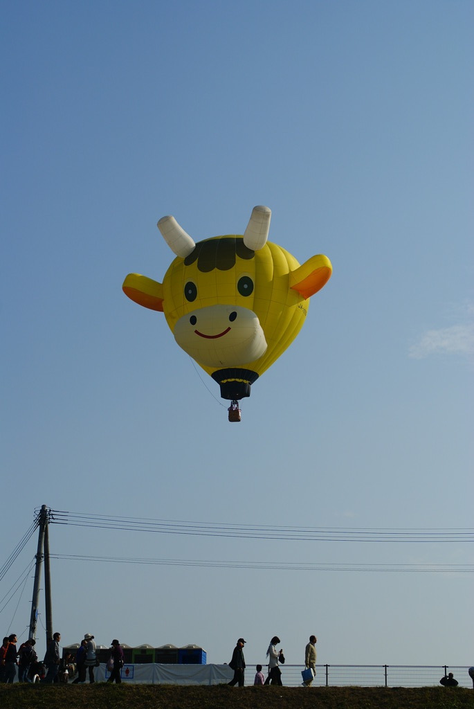 あ！牛さんが飛ぶ！！