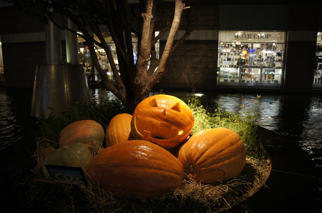 Pumpkin Man・・・HALLOWEEN