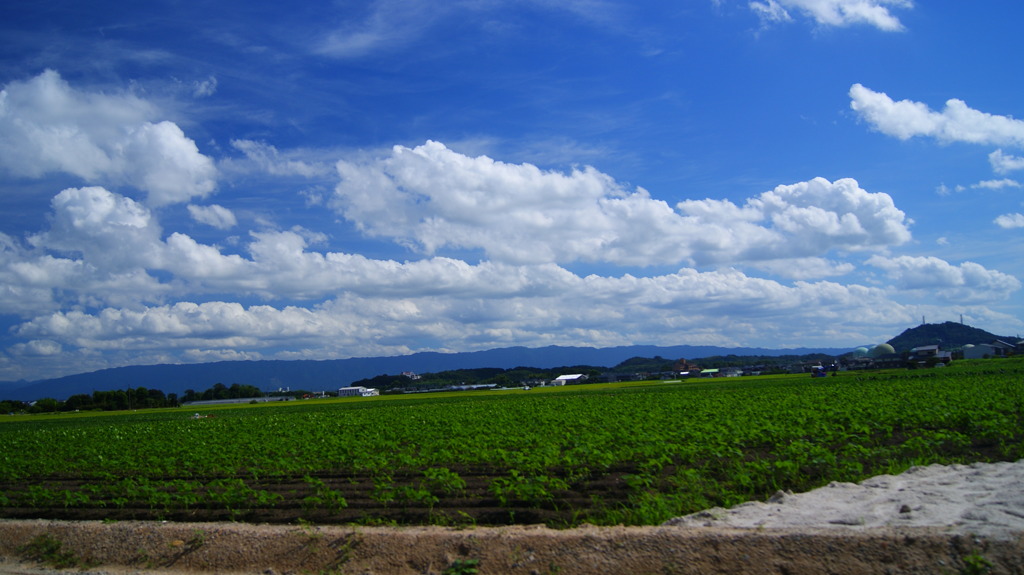 筑前町の空02