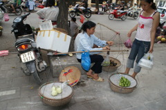 ベトナムの風景  『果物売り』