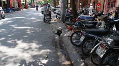 ベトナムの風景  『路上の鶏・・・・』