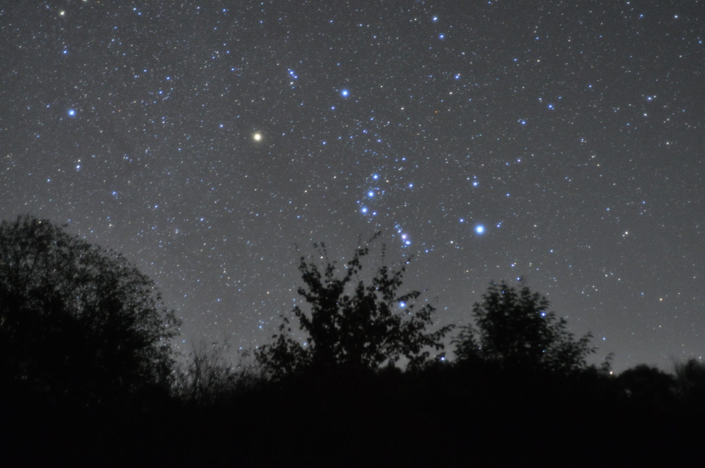 星座の王様
