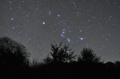 星座の王様