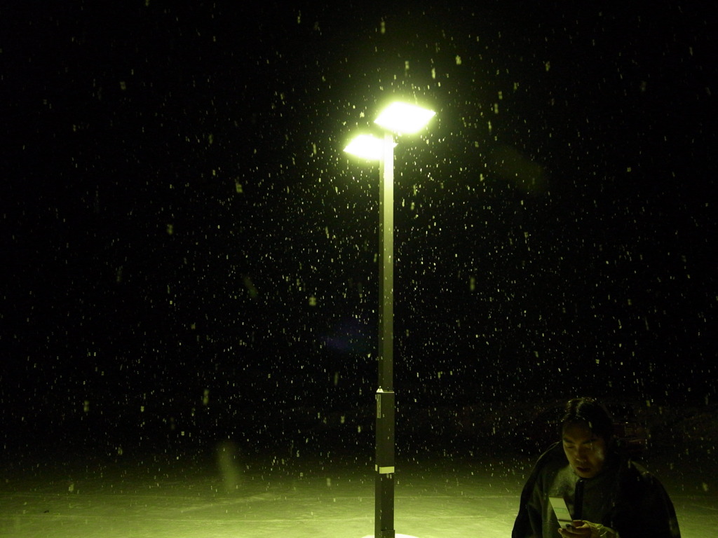 雪の中に光