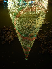 池に写るツリー