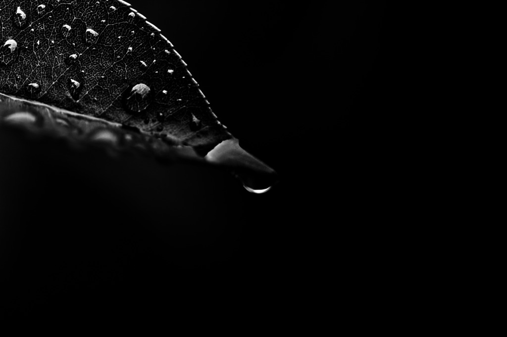 How to walk of the rainy day #4