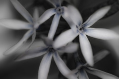 dim