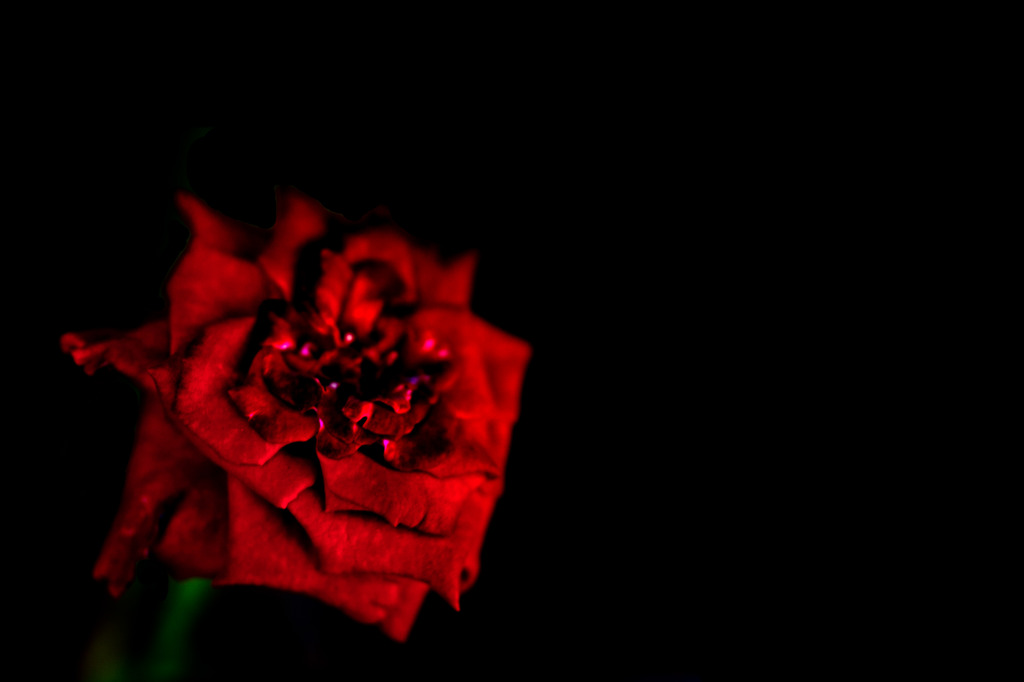 Vi:jewel