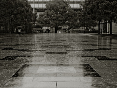 How to walk of the rainy day #1