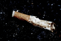 Cigarette butt