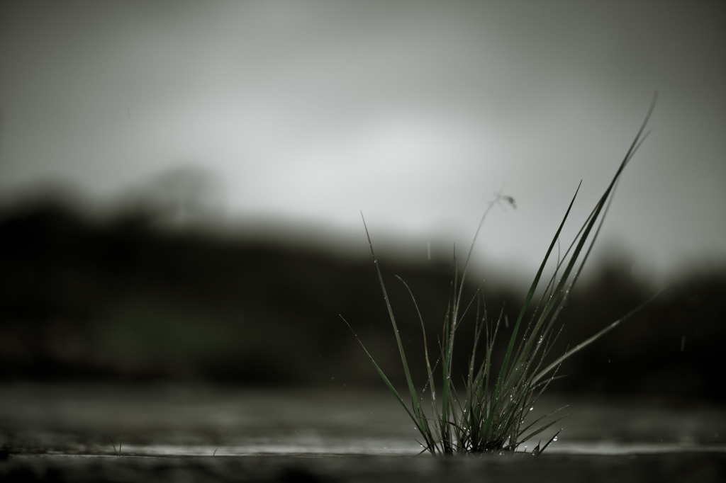 How to walk of the rainy day #6
