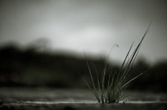 How to walk of the rainy day #6