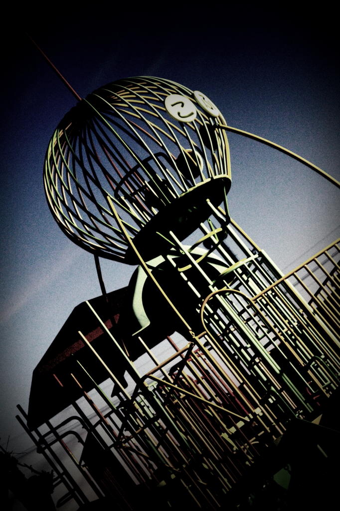 jungle gym