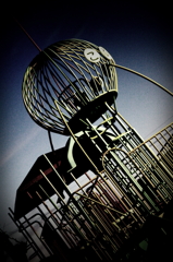 jungle gym