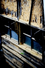 Day of rot and macro　No:2