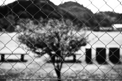 Fragment monochrome #14