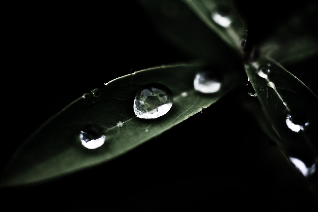 How to walk of the rainy day #5