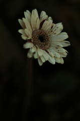 Hole
