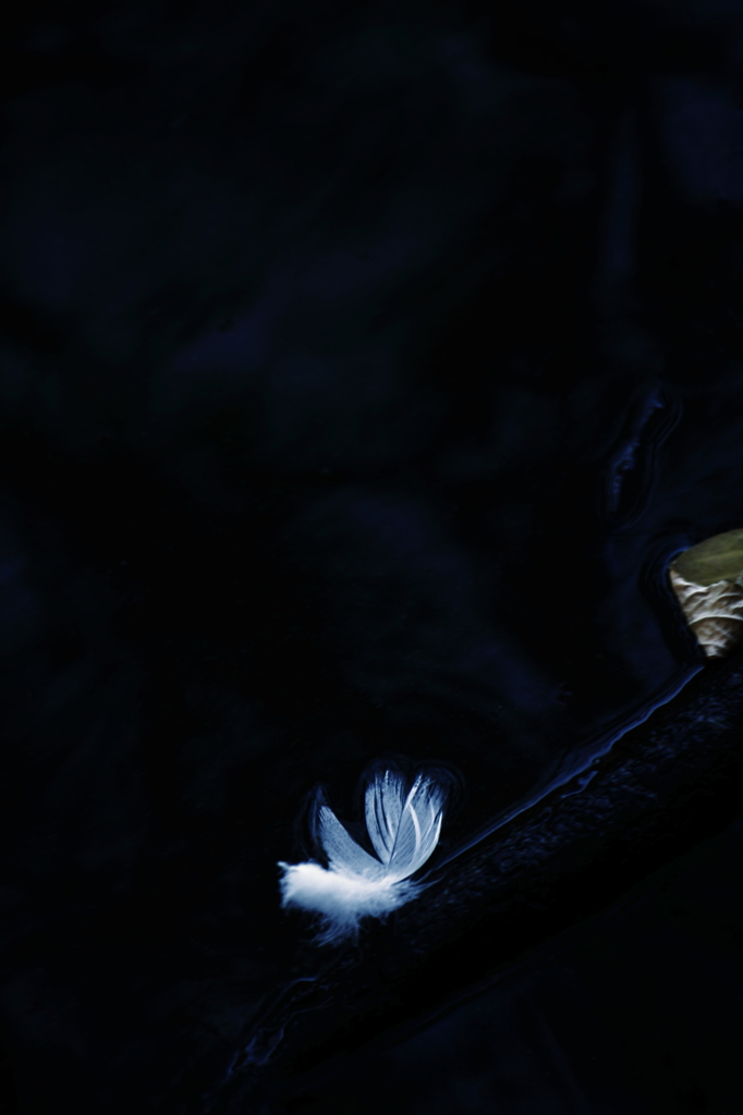 Angel's reverberations