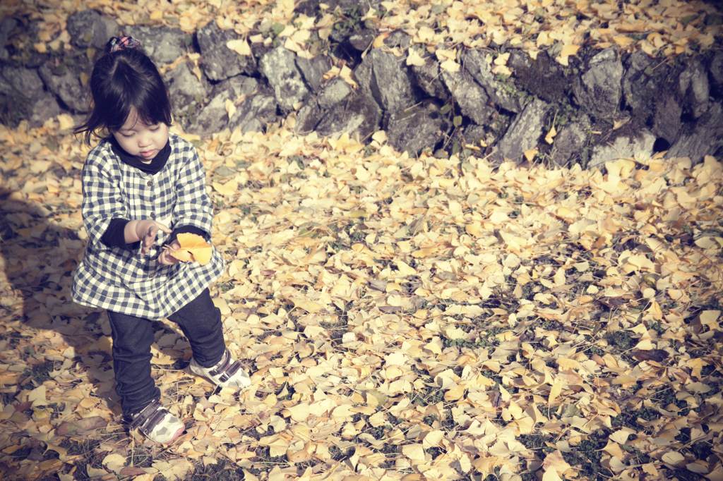 Small autumn