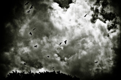 Presentiment