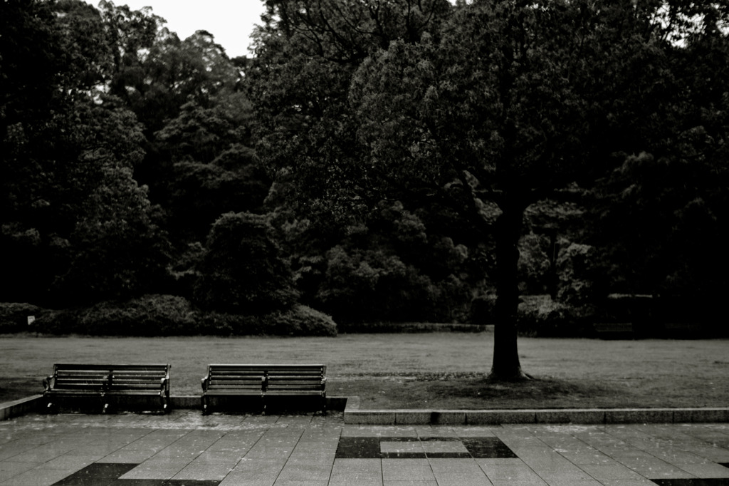 How to walk of the rainy day　#2