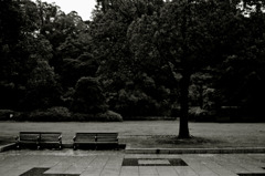 How to walk of the rainy day　#2
