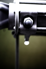 Macro after rain