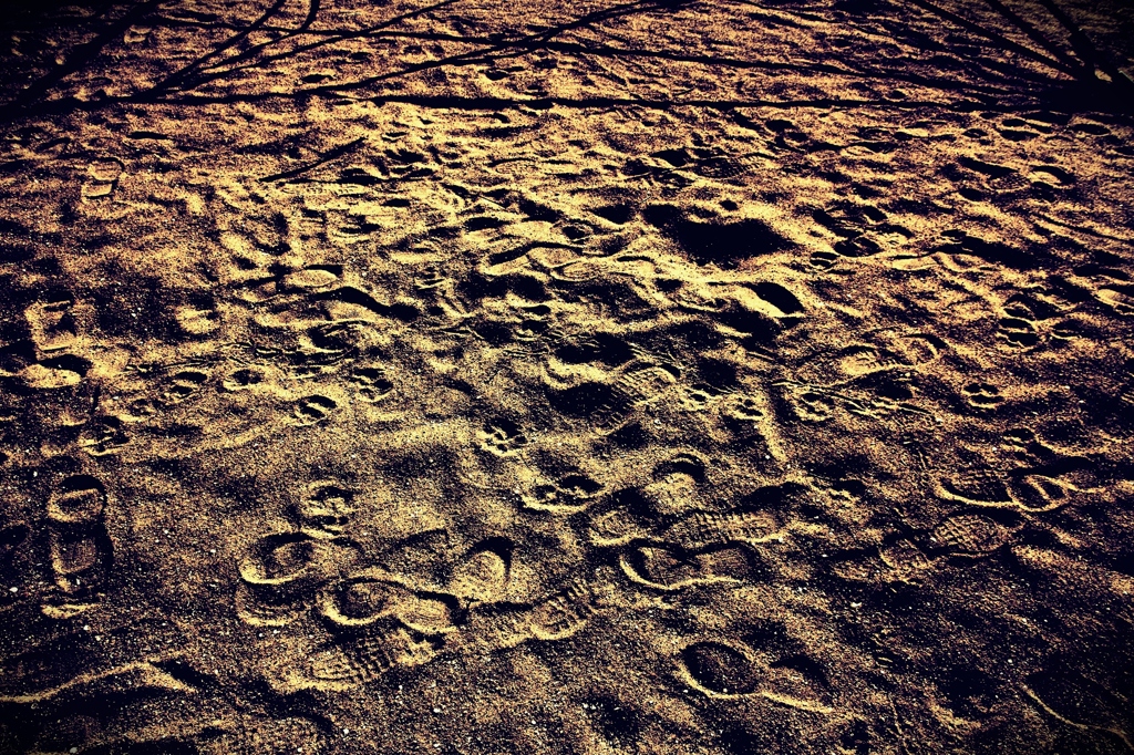 Dune