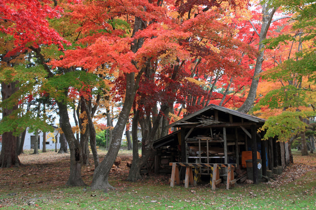 香雪園07IMG_0620b_sns