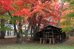 香雪園07IMG_0620b_sns
