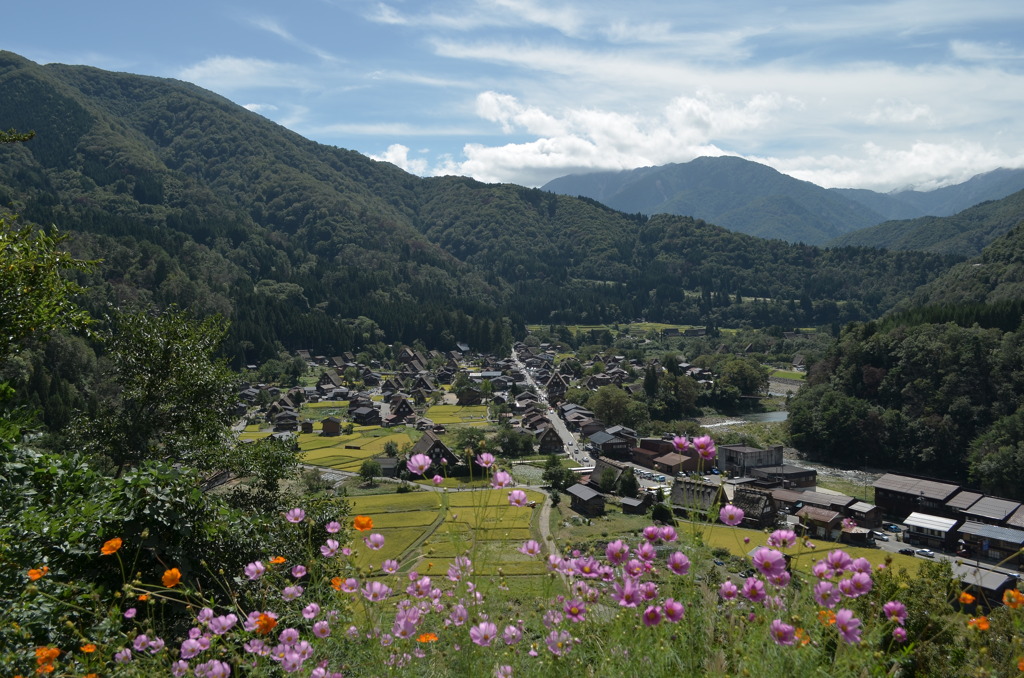 白川郷の展望台から全景