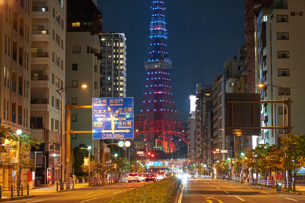 桜田通りからの東京タワー 夜景