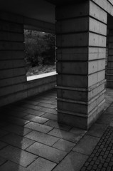 _DSC1827