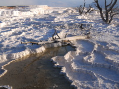 朝日に照らされて。