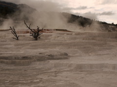 霧の階段
