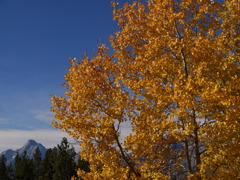 初秋のワイオミング