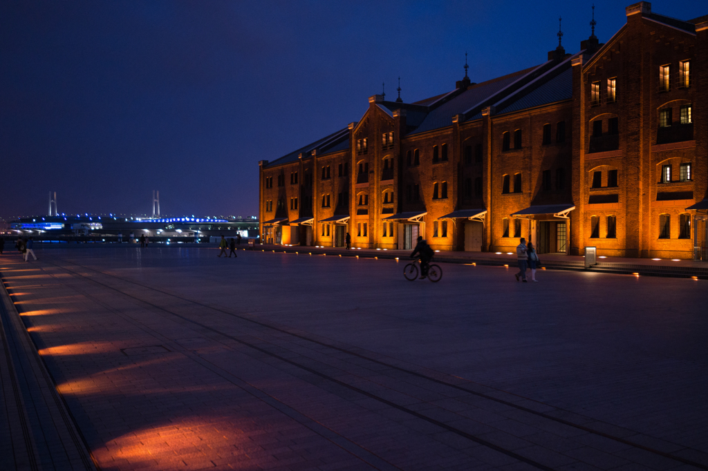 _DSC6502-1